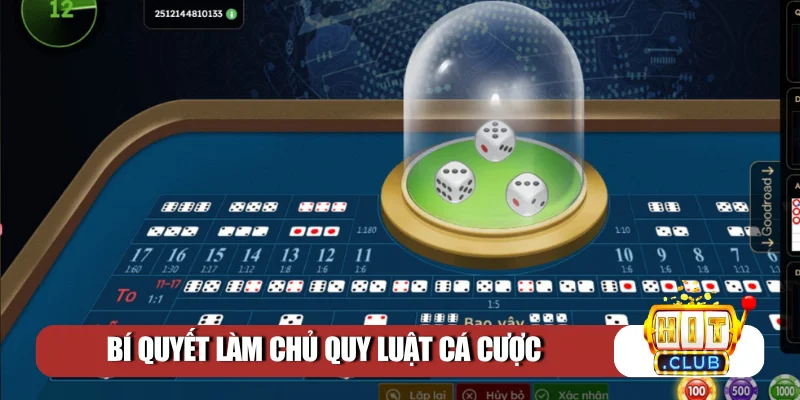 Nhận diện quy luật chu kỳ đảo 1-1