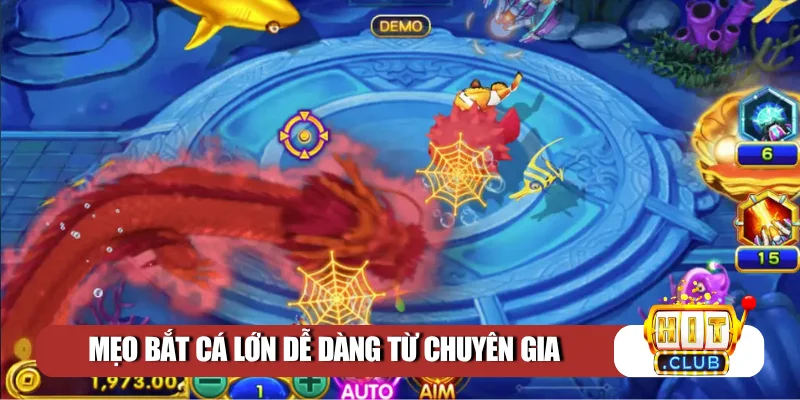 Mẹo bắt cá lớn dễ dàng từ chuyên gia