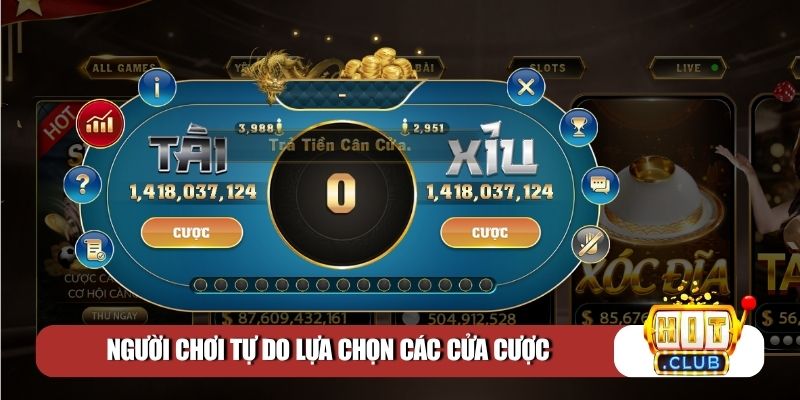 Người chơi tự do lựa chọn các cửa cược