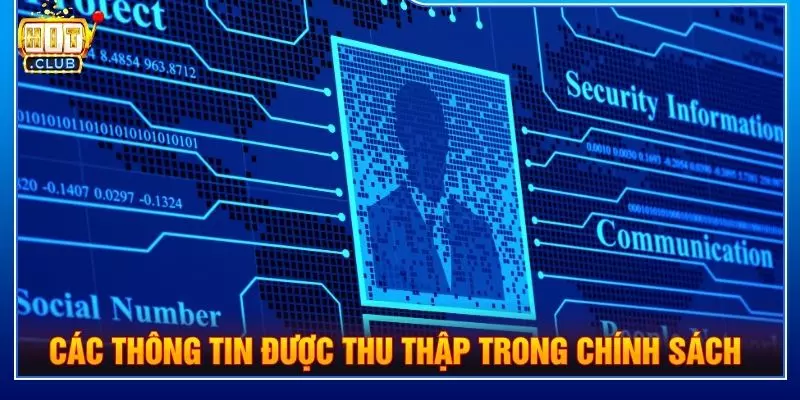 Các thông tin được thu thập trong chính sách