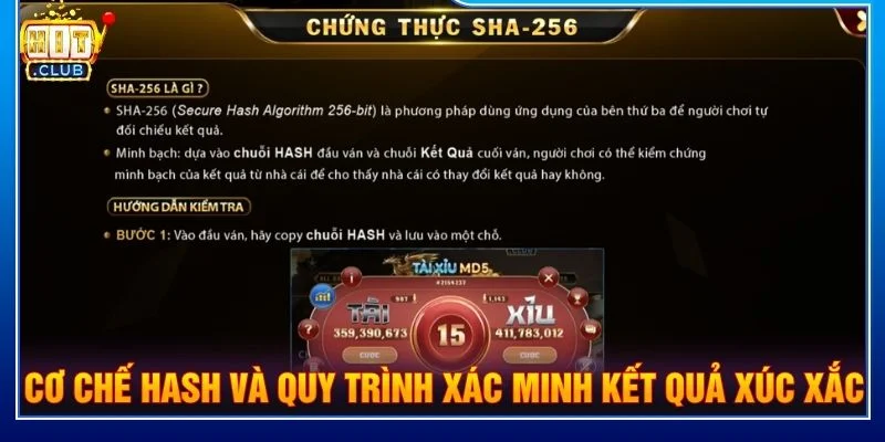 Cơ chế hash và quy trình xác minh kết quả xúc xắc
