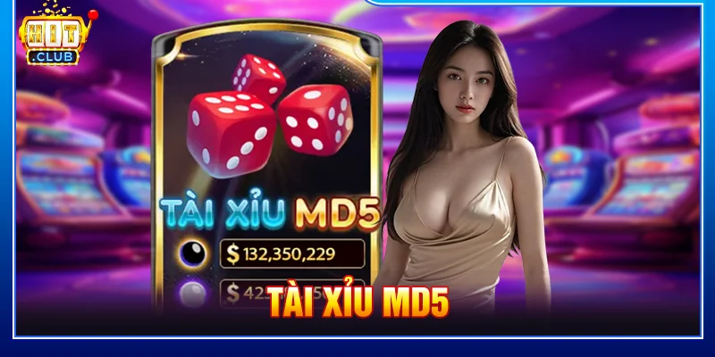 Tài xỉu MD5 HITCLUB: Hiểu Đúng Cơ Chế, Chơi Có Cơ Sở